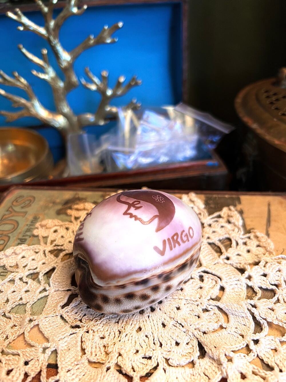 Zodiac Cowrie Shell - Virgo